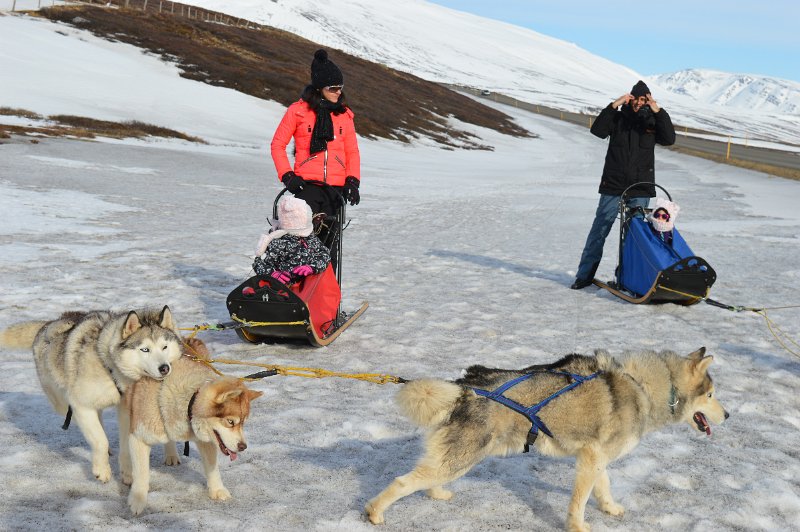 Dog sledding (15).JPG